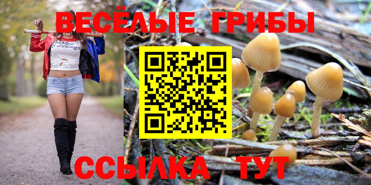 Псилоцибиновые грибы прущие грибы Ишимбай