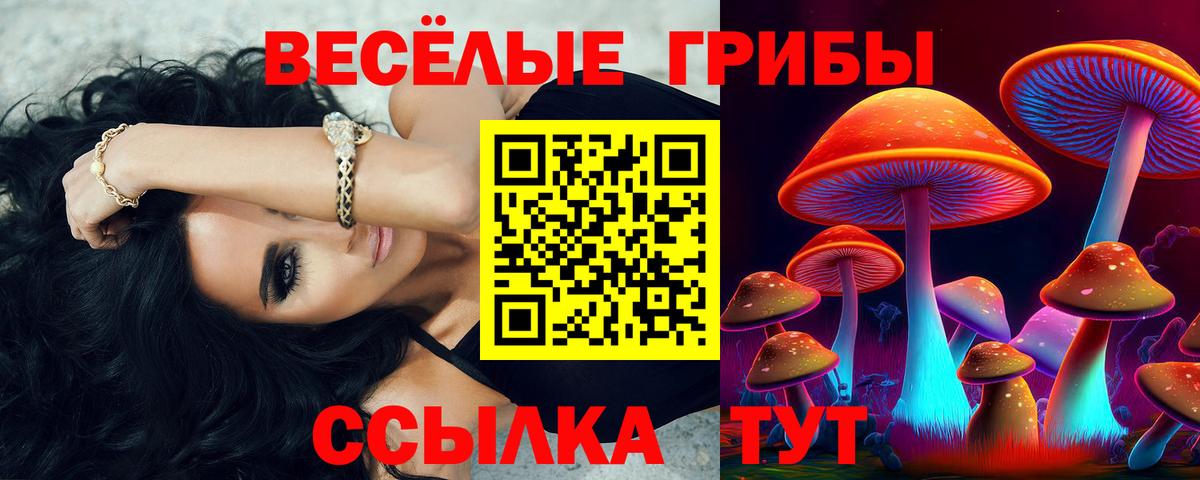 Ишимбай  Псилоцибиновые грибы MAGIC MUSHROOMS  Вход с VPN 